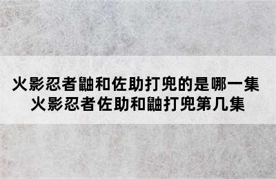 火影忍者鼬和佐助打兜的是哪一集 火影忍者佐助和鼬打兜第几集